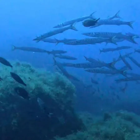 Camera Cala Croce A 3* Lampedusa
